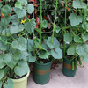 Plant Support Cages, 18 Inches Plant Cages with 3 Adjustable Rings