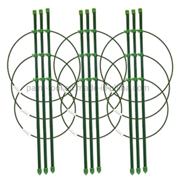7（15）