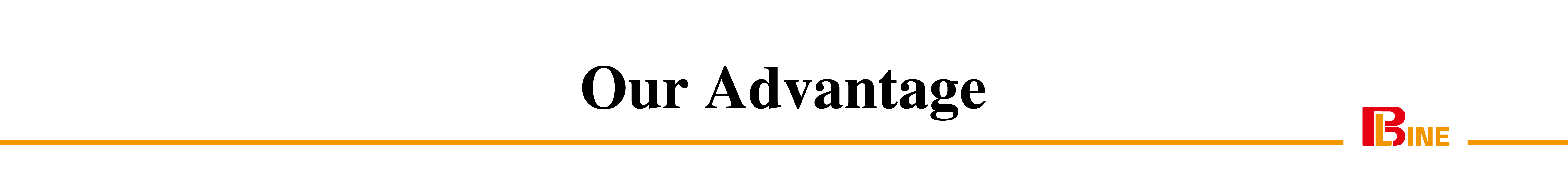 Our Advantage