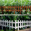 Greenes White Wood Spruce Pine Fir Garden Fence Panel