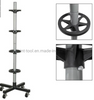 Wheel Tree Tyre