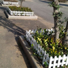 Greenes White Wood Spruce Pine Fir Garden Fence Panel