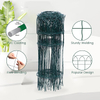 Garden Border Fence Wire Mesh Green PVC Coated Lawn Edging Outdoor
