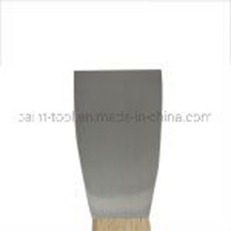 China High Quality Professional Paint Scraper -25mm