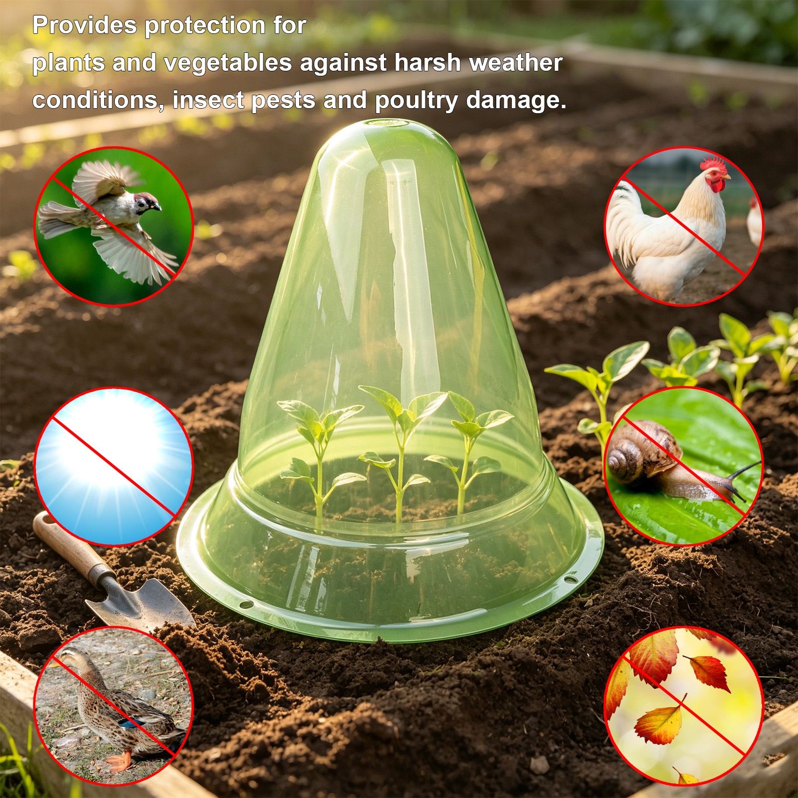 Vegetable & Plant Protection Cover