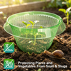 Vegetable & Plant Protection Cover
