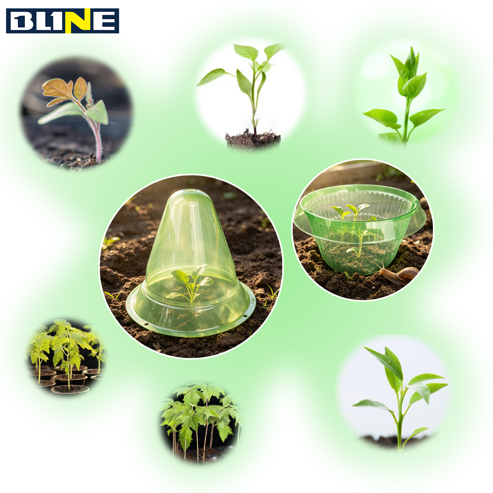 Vegetable & Plant Protection Cover